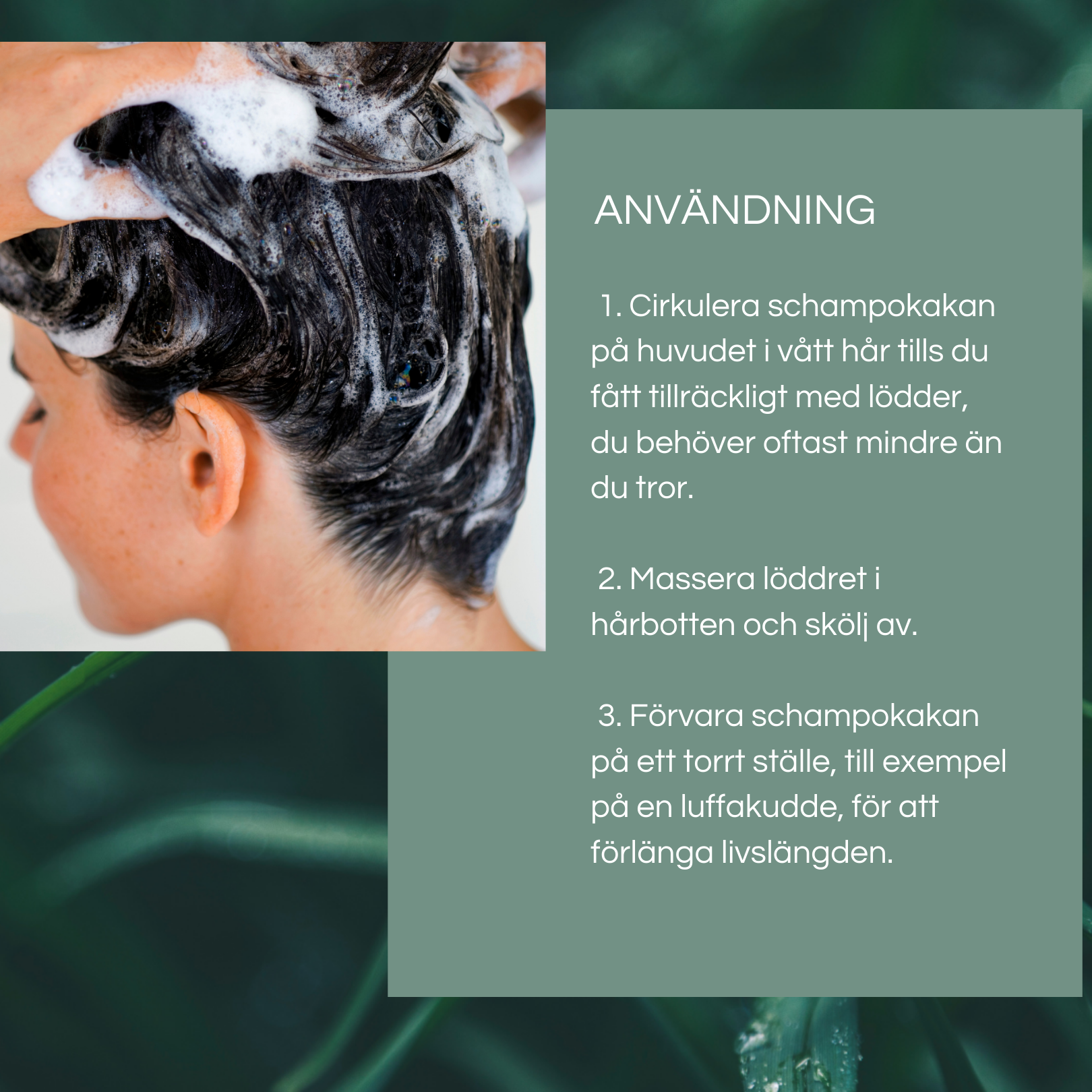 Schampokaka Vanilla Everyday Shampoo for Oily & Straight Hair - Dalarnaseko.se