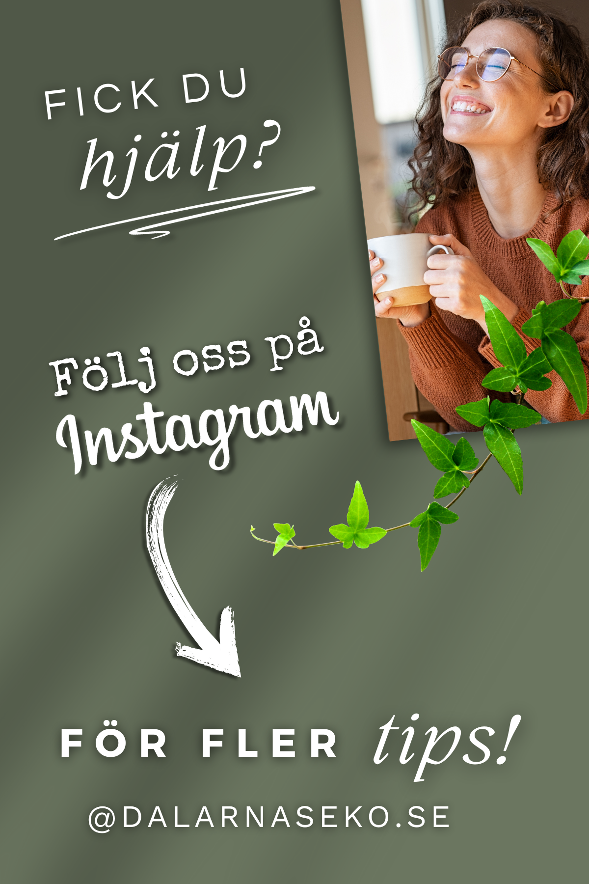 Hårdetox & Ansiktsmask, perfekt när du är ny med naturlig hårvård - Dalarnaseko.se