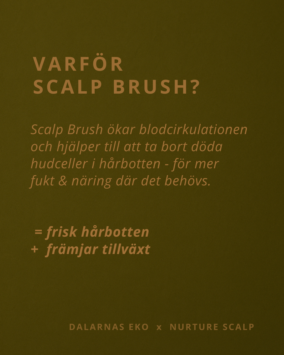 Scalp Brush, främjar hårets naturliga tillväxt och tar bort döda hudceller