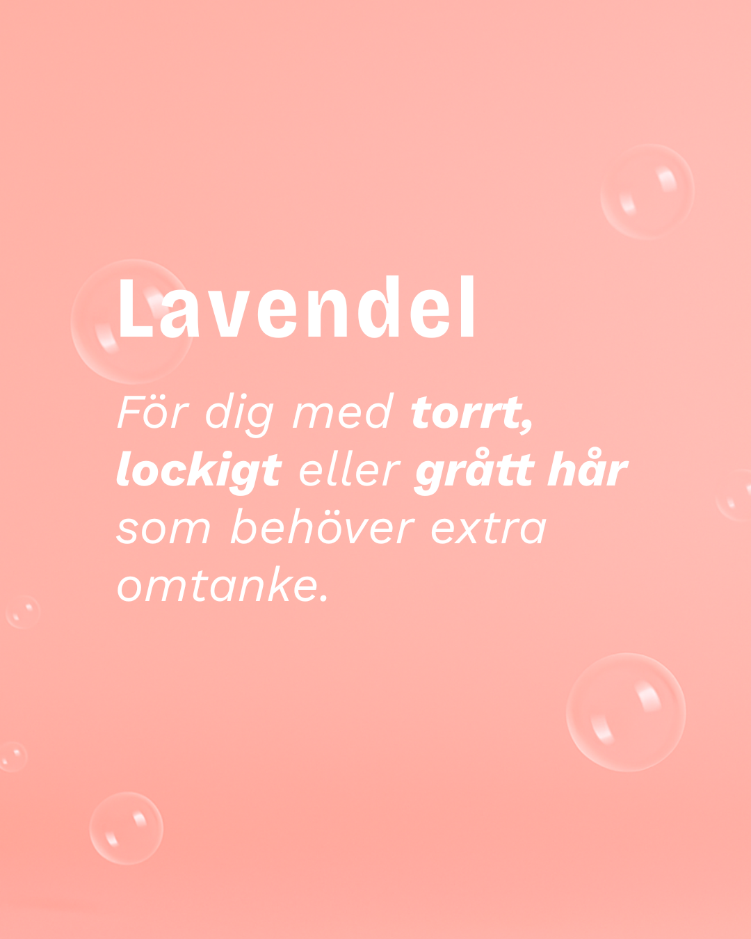 COLOR POP EDITION: Schampokaka Lavendel, Radical Moisture Shampoo