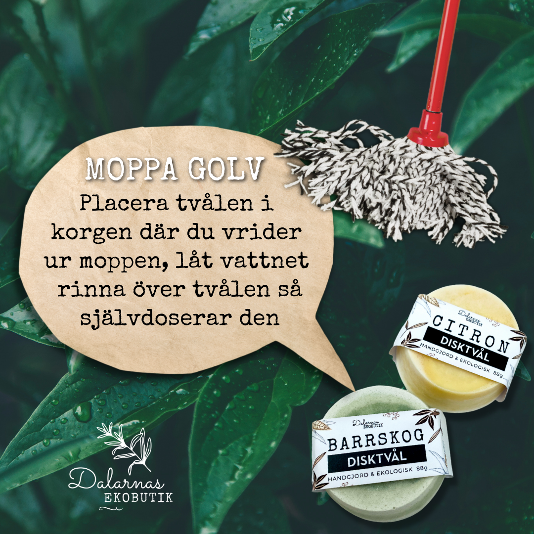EKO STÄDFAVORITERNA: Tvätt- Städ- och Disktvål, Barrskog - Dalarnaseko.se