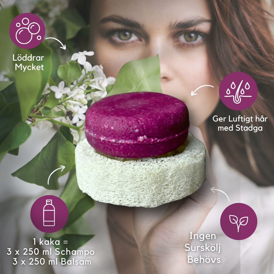 BÄSTSÄLJARE: Schampokaka Kamomill Repair Shampoo, frisörens val! - Dalarnaseko.se