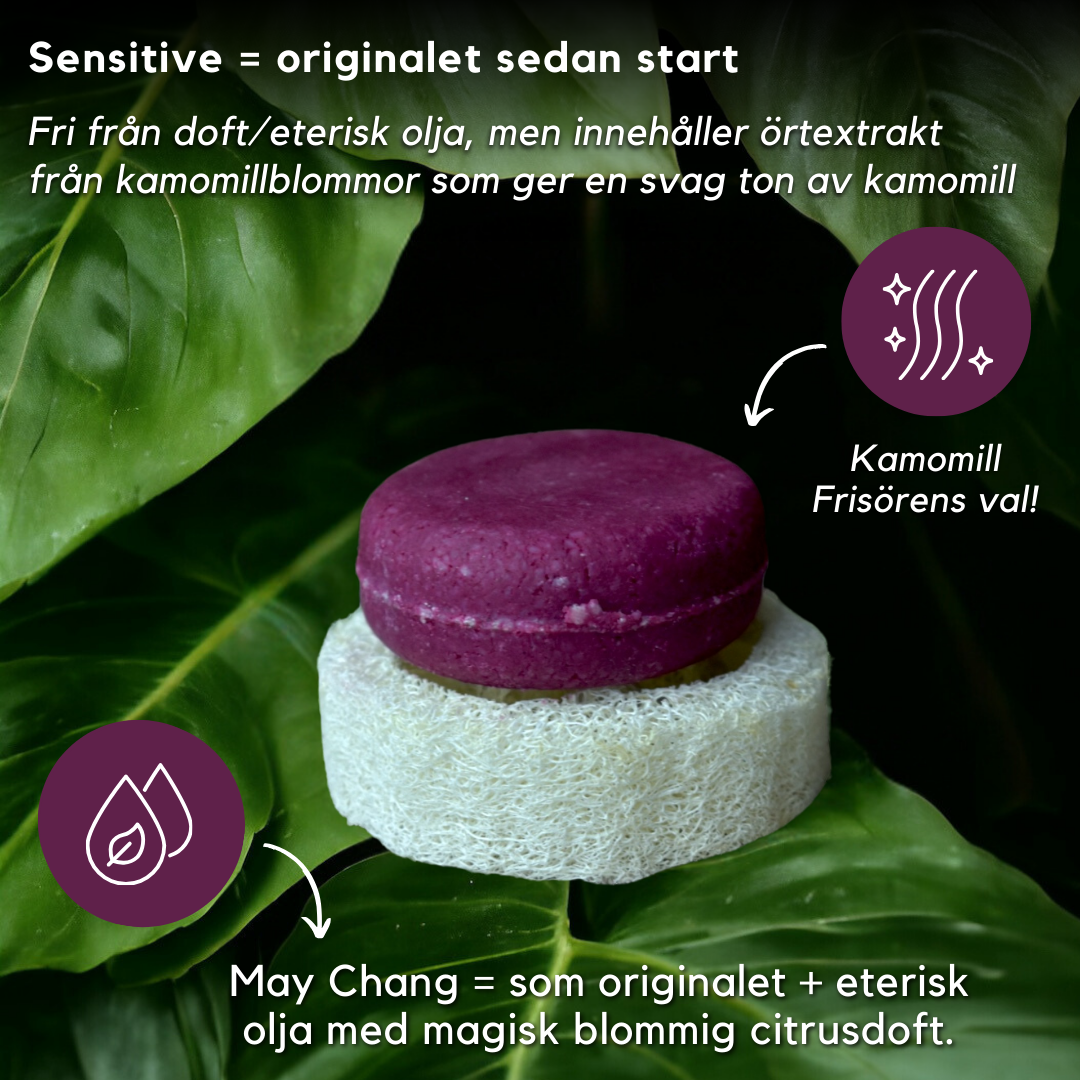 BÄSTSÄLJARE: Schampokaka Kamomill Repair Shampoo, frisörens val! - Dalarnaseko.se