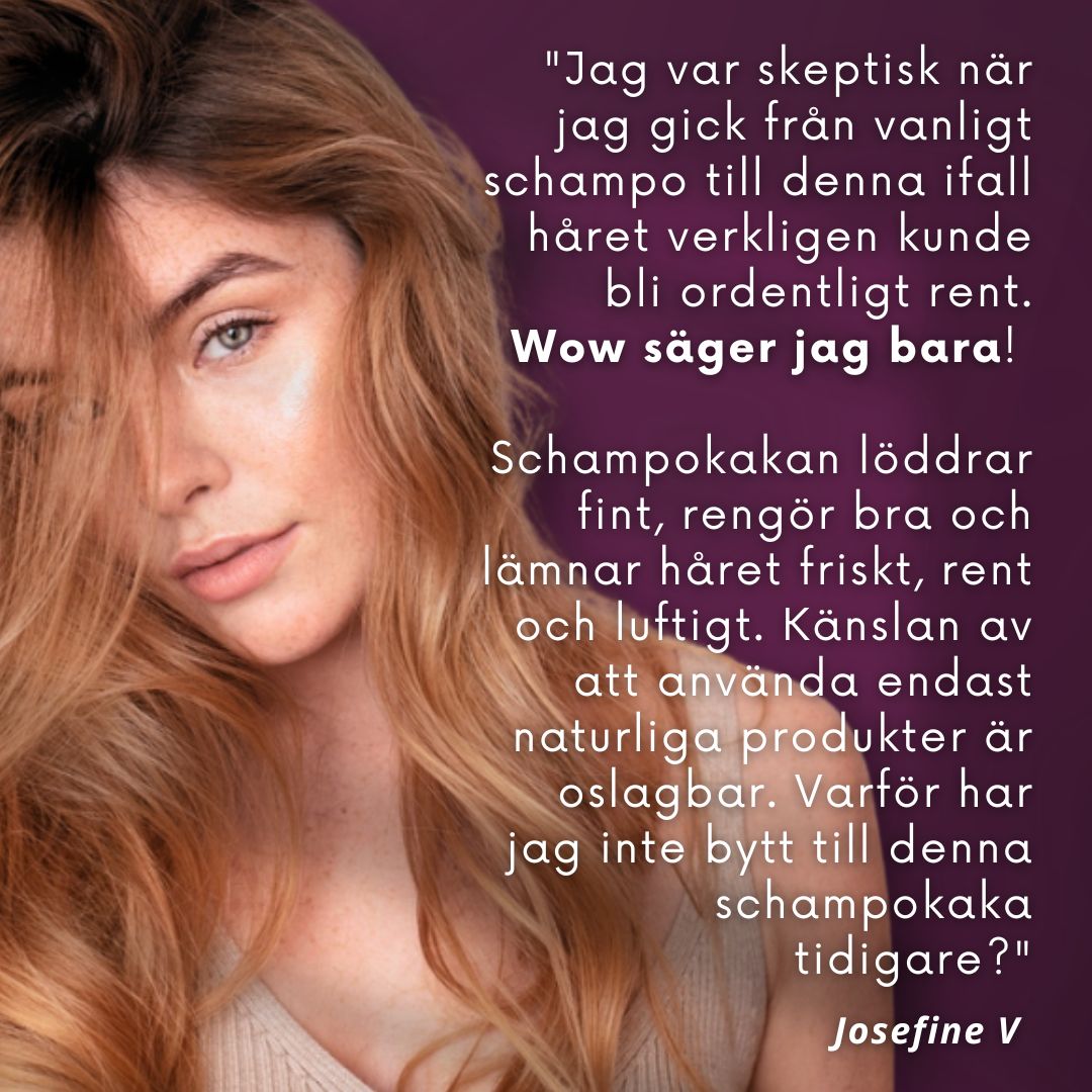 BÄSTSÄLJARE: Schampokaka Kamomill Repair Shampoo, frisörens val! - Dalarnaseko.se