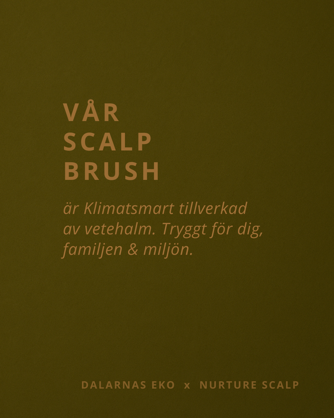 Scalp Brush, främjar hårets naturliga tillväxt och tar bort döda hudceller