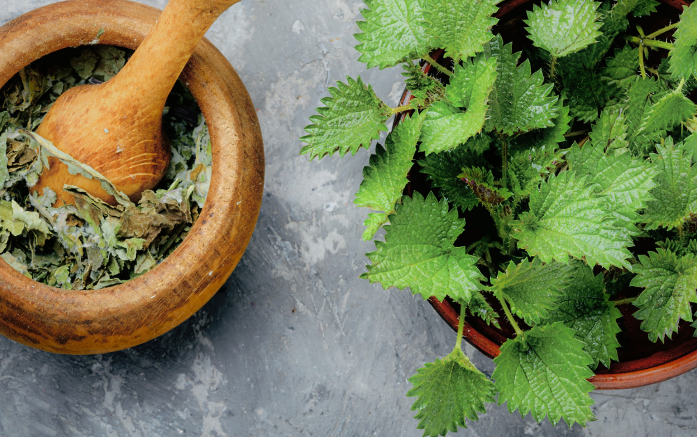 hårinpackning med nässla och argan