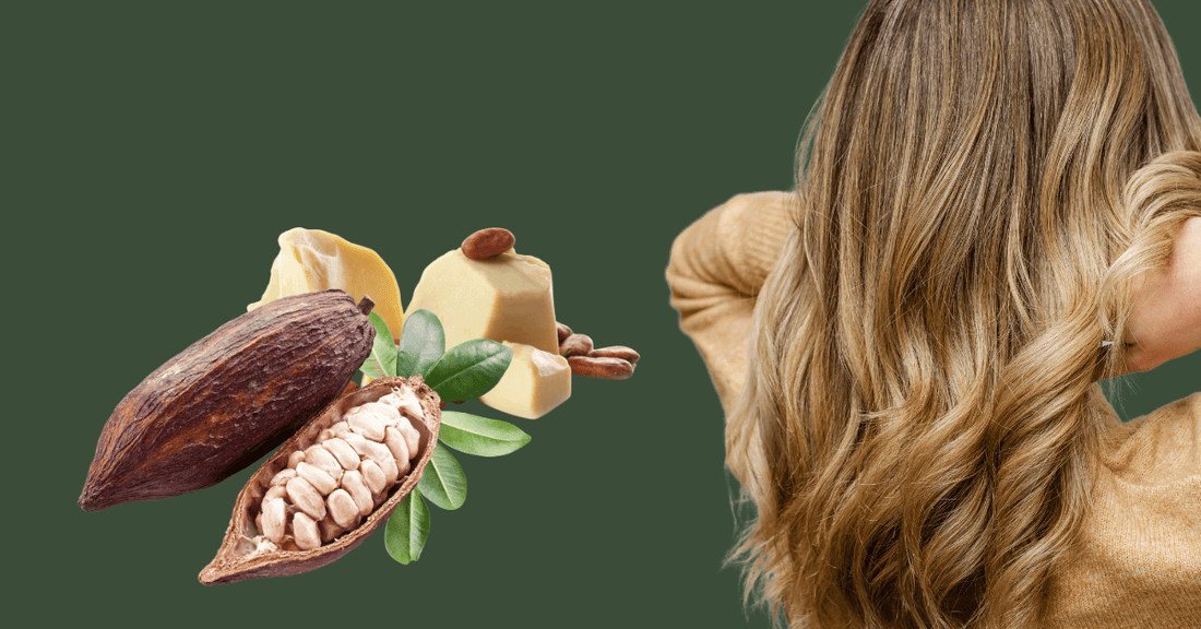Kakaosmör – naturens egen näringsbomb för hud & hår 🌰✨ (Theobroma cacao seed butter)