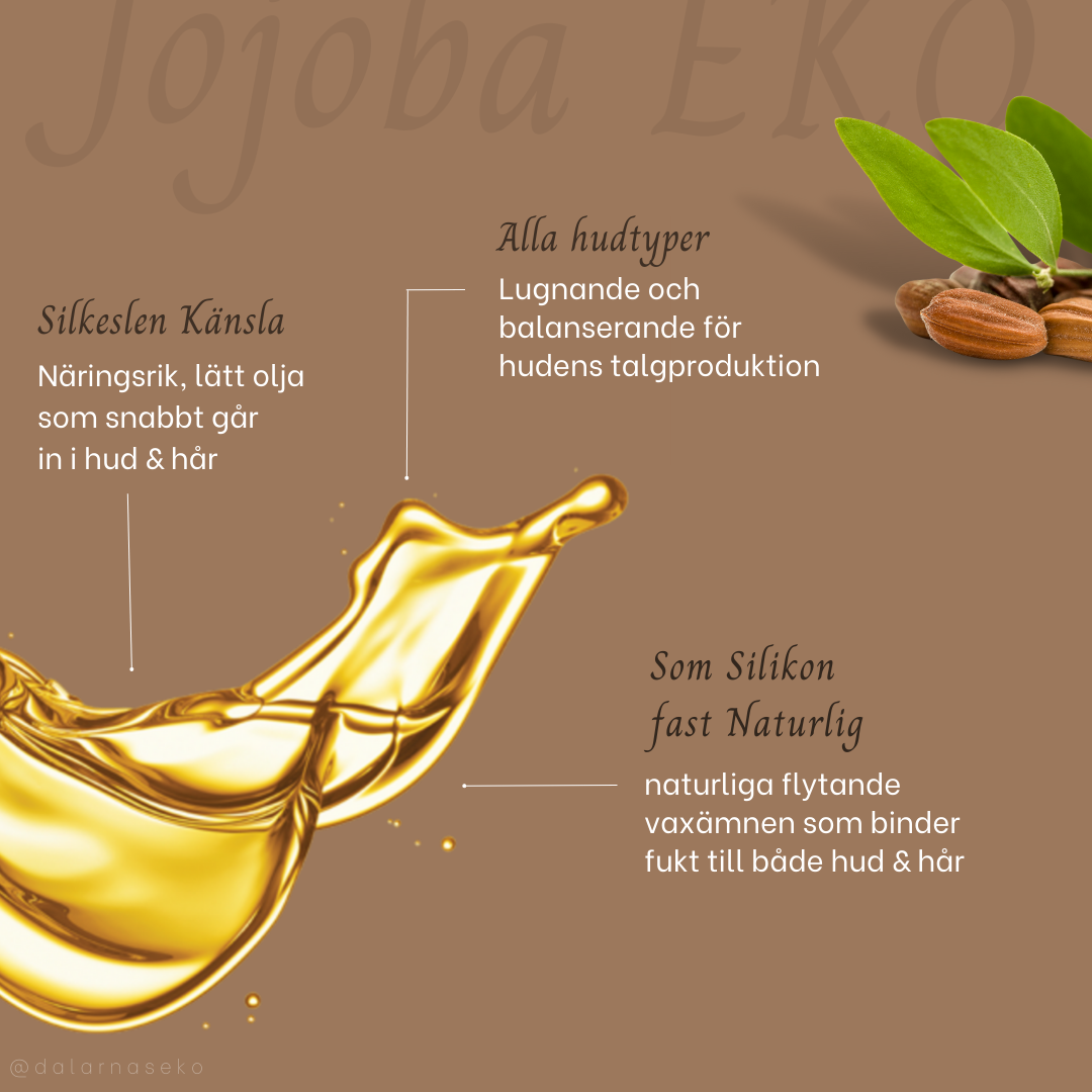 Jojobaolja EKO, fantastisk hårolja för hår som snabbt blir fett - Dalarnaseko.se