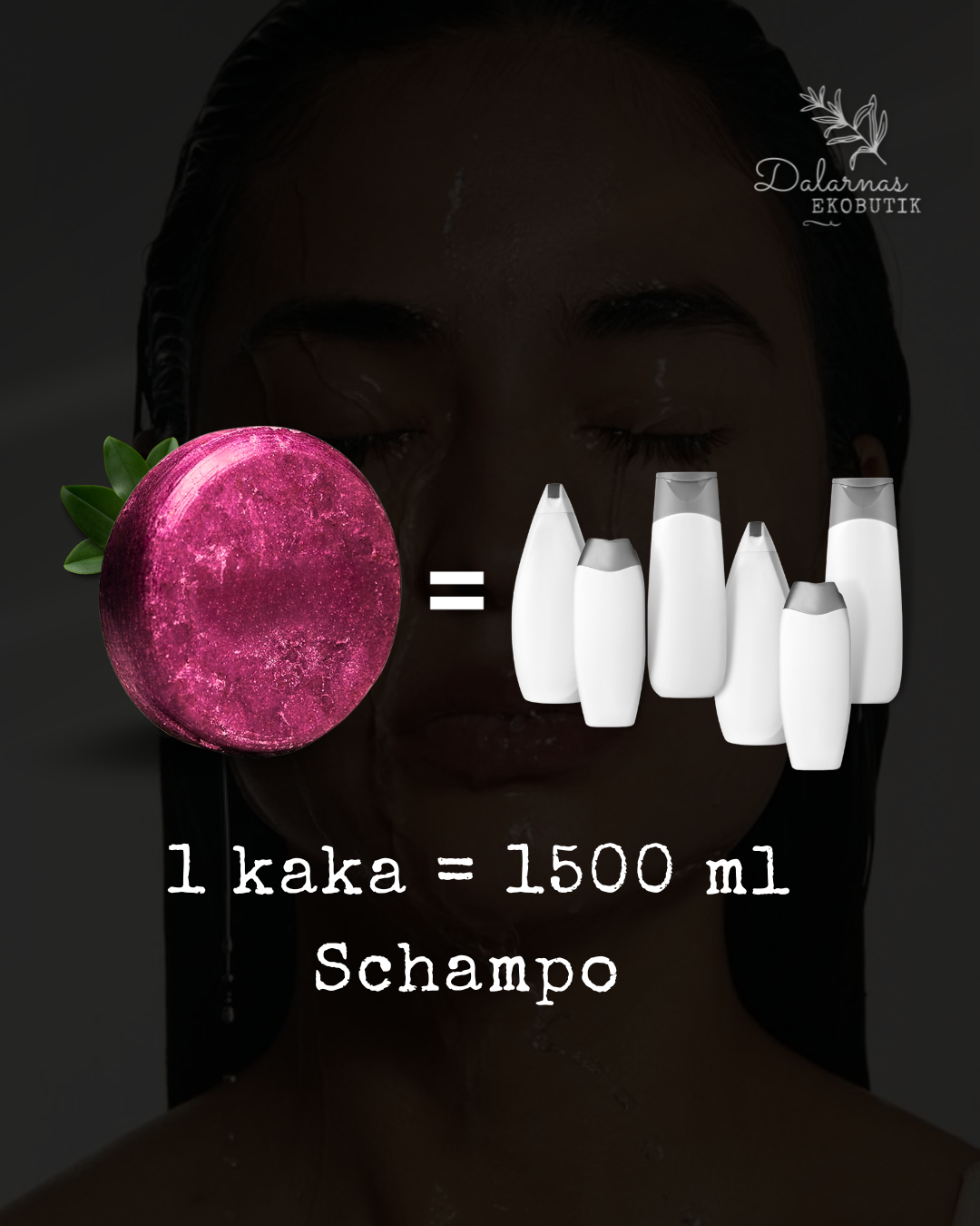 Bestseller Shampoo + Conditioner KIT - retailer