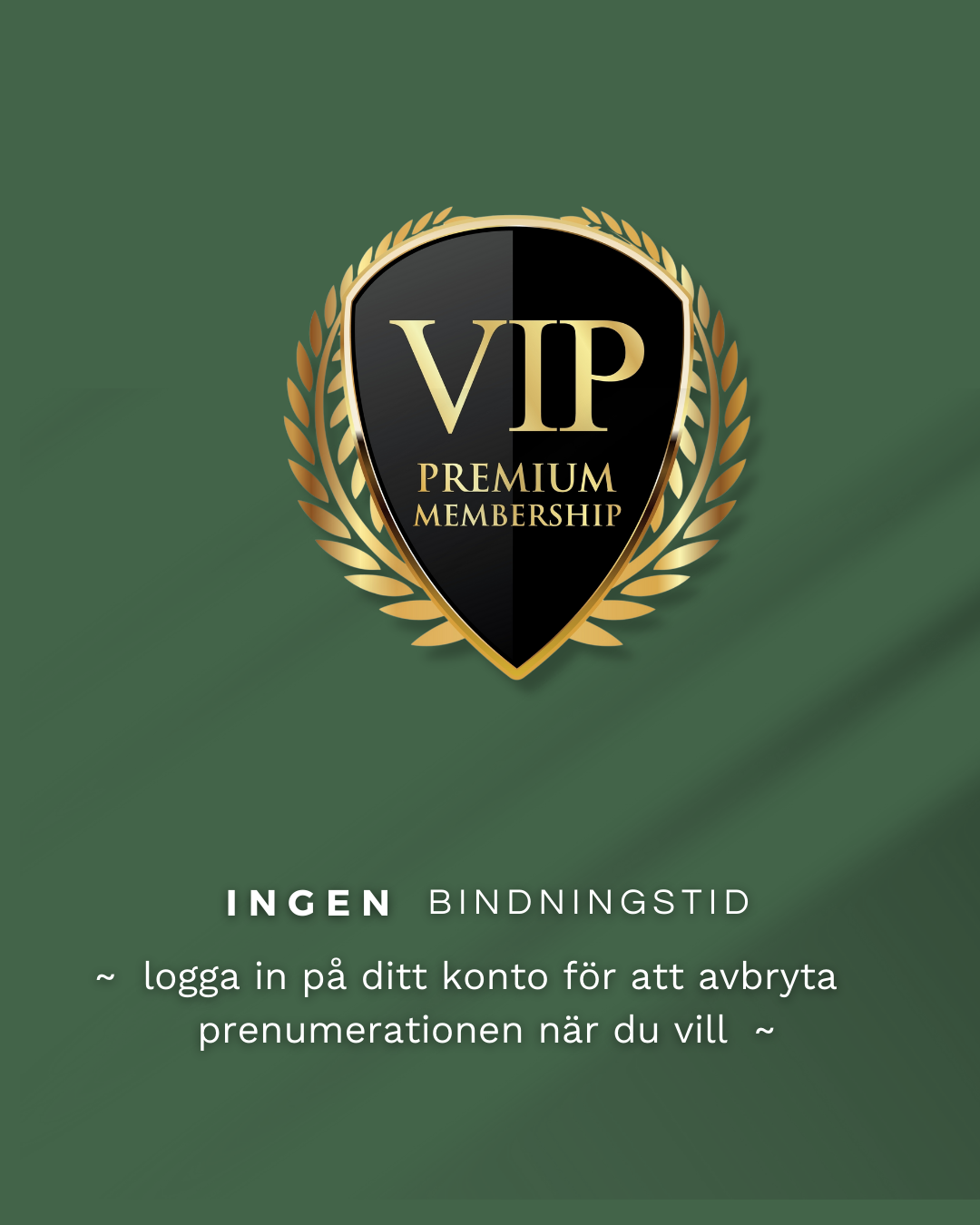 Dalarnas EKO VIP Club - Dalarnaseko.se