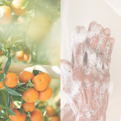 RÄDDA  – Citrus Amara Soap 110g