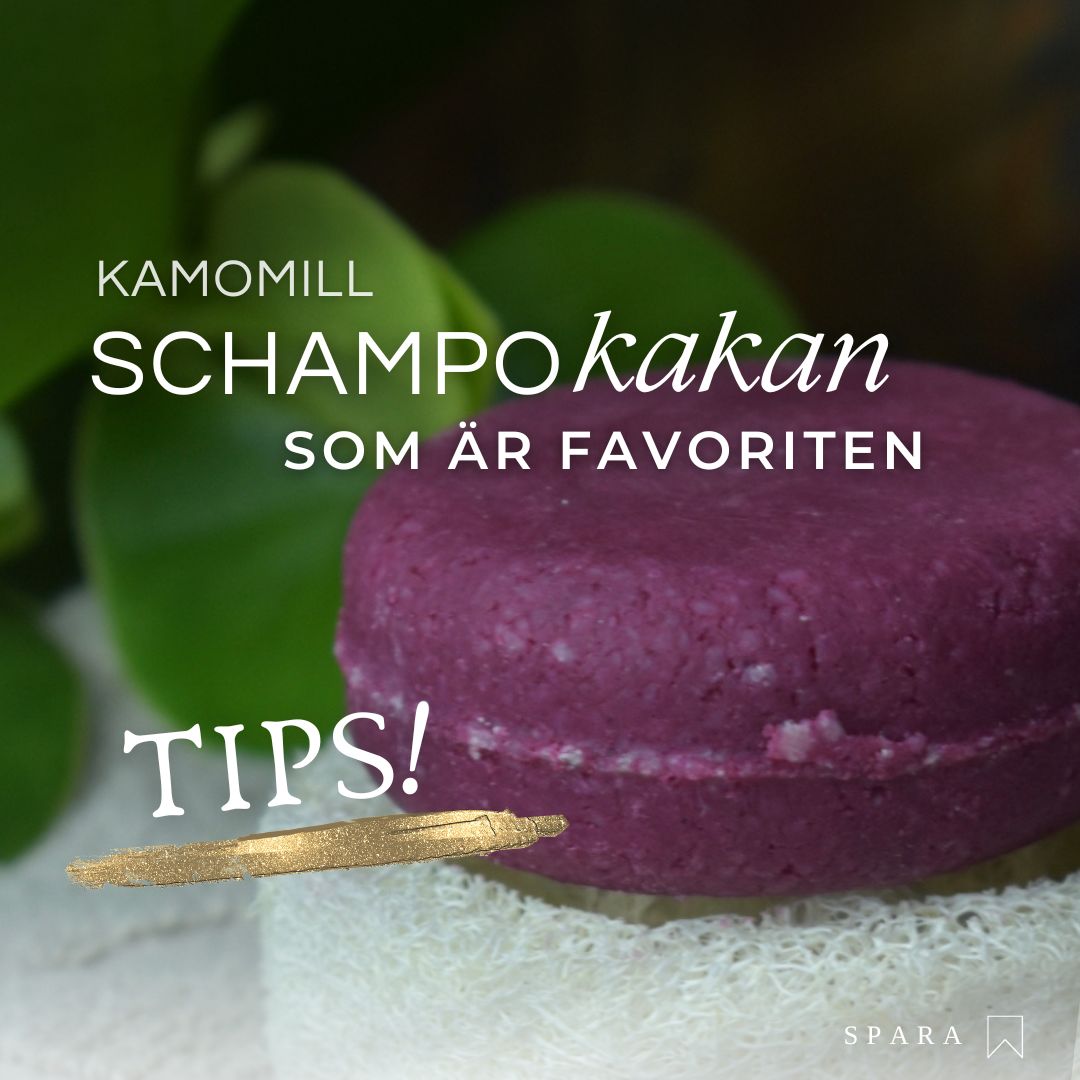 BÄSTSÄLJARE: Schampokaka Kamomill Repair Shampoo, frisörens val! - Dalarnaseko.se