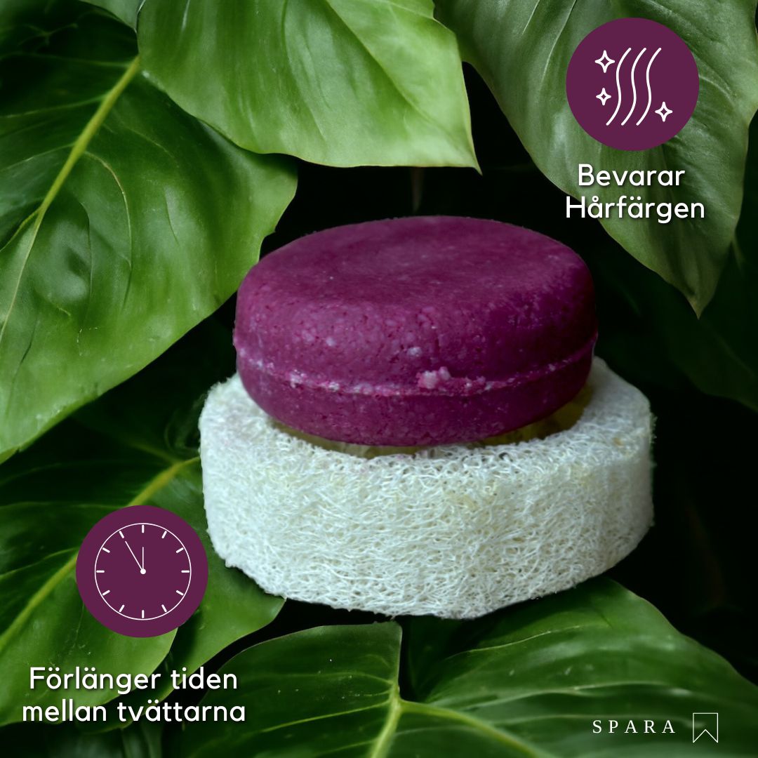 BÄSTSÄLJARE: Schampokaka Kamomill Repair Shampoo, frisörens val! - Dalarnaseko.se
