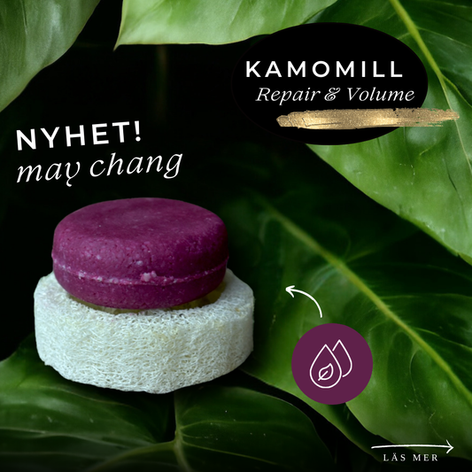 LIMITED EDITION: MAY CHANG Repair & Volume Shampoo, frisörens val! - Dalarnaseko.se
