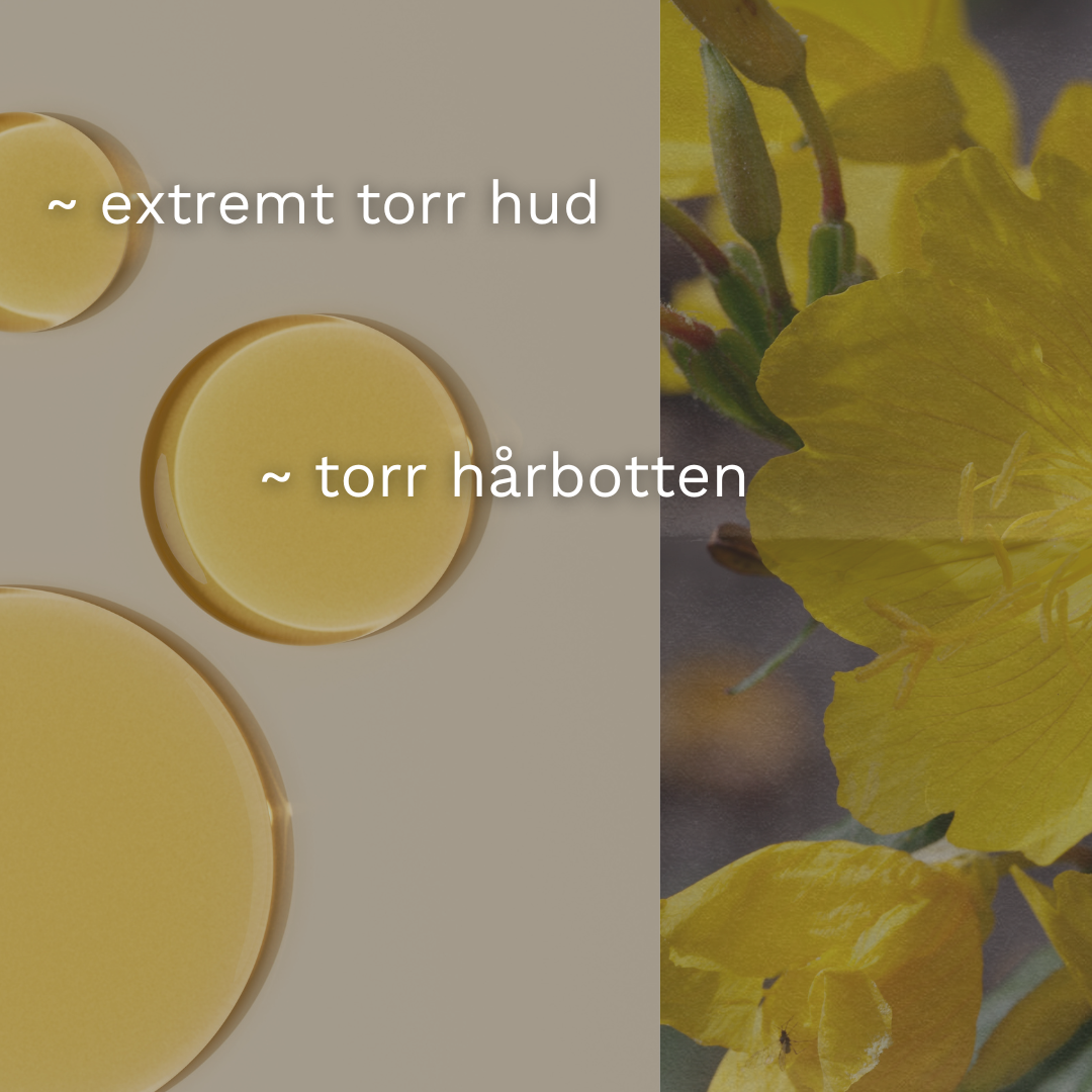 Nattljusolja EKO, kallpressad, perfekt för torr hud och hårbotten