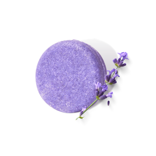 Lavendel Shampoo