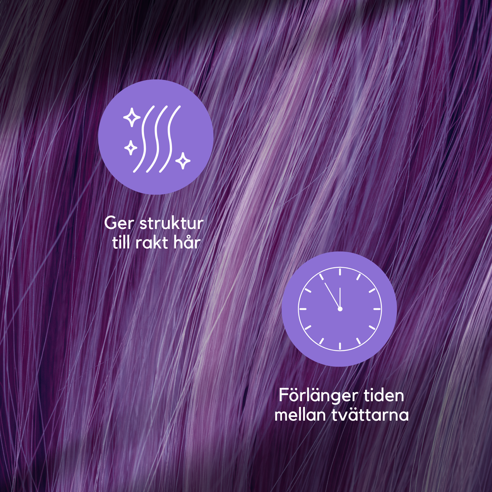 Schampokaka Lavendel, Radical Moisture Shampoo - Dalarnaseko.se