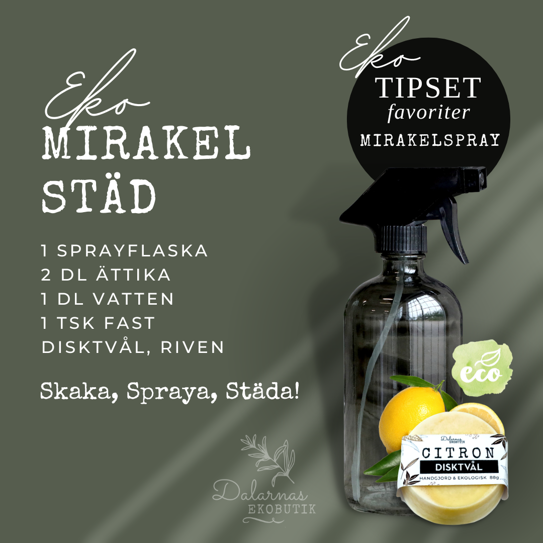 EcoCoconut - Diskborste i Kokosnötsfiber och Trä - Dalarnaseko.se